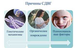 Детский синдром дефицита внимания и гиперактивности характеризуется