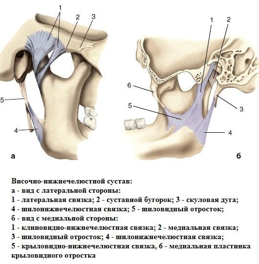 Сустав нижней челюсти воспаление синдром