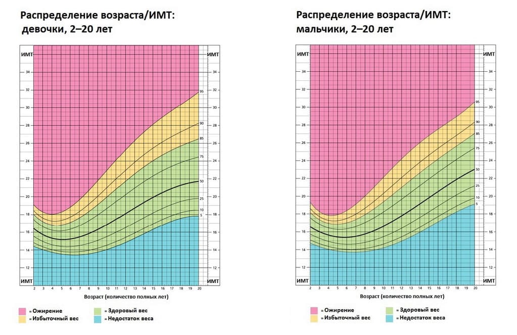 Нормальный индекс массы тела у детей